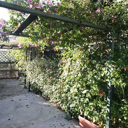 La Casa De Gene *
